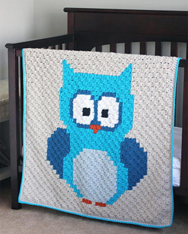 Baby Owl Corner-to-Corner