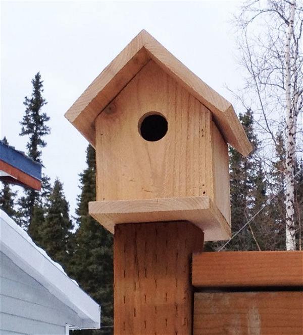 Build A Cedar Birdhouse For $2