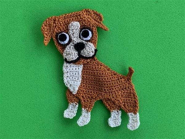 Boxer pup for kiddos