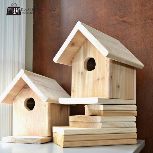 DIY Birdhouse 1