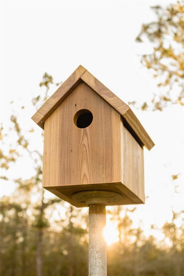 DIY Birdhouse Plan