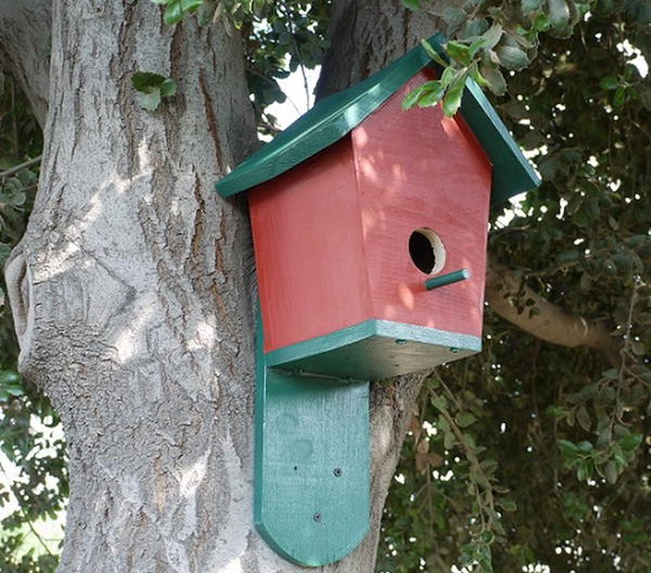 DIY Bluebird House