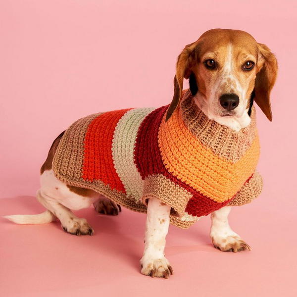 Dog Sweater