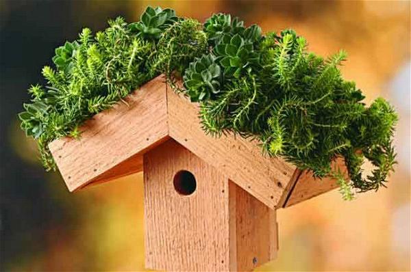 Green Roof DIY Birdhouse