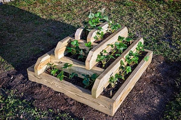 How To Build A Strawberry Pyramid