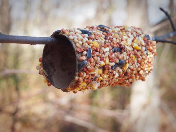 How To Make A Peanut Butter Bird Feeder