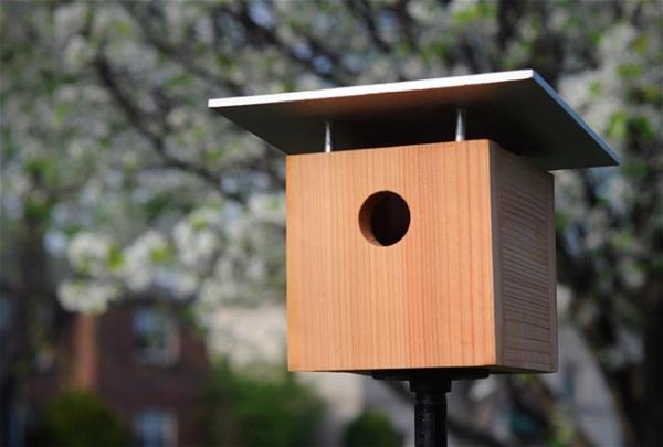 How To Make a DIY Modern Birdhouse
