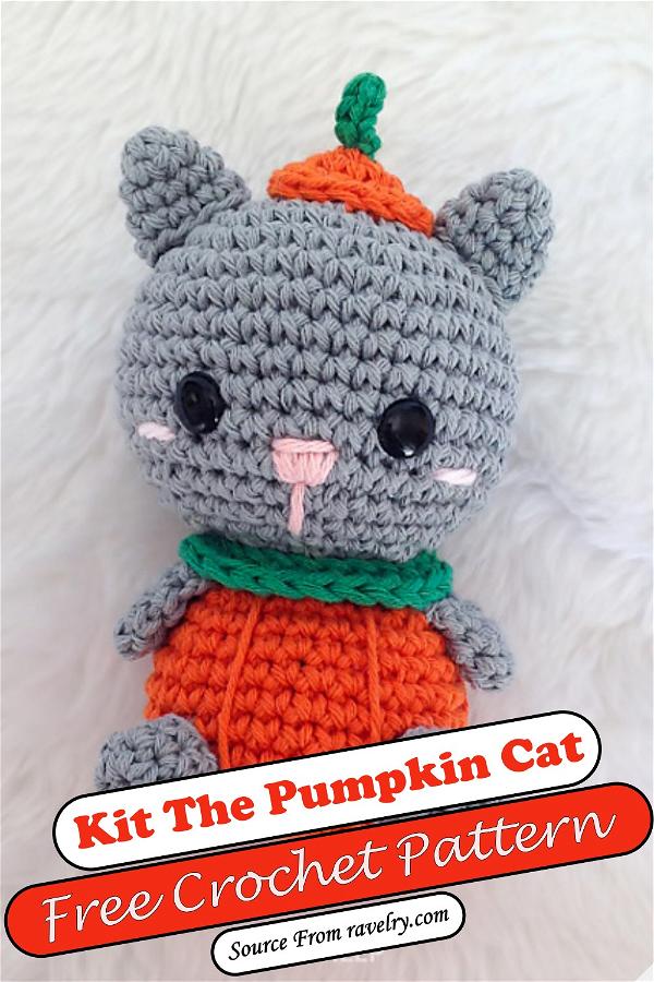 Kit The Pumpkin Cat