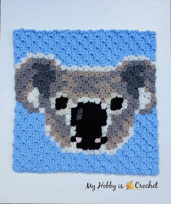 Koala C2C Square