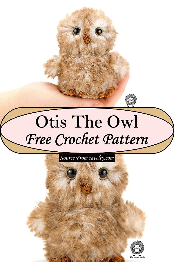 Otis The Owl