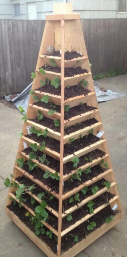 11 Free DIY Pyramid Planter Plans For Gardening Lovers - Mint Design Blog