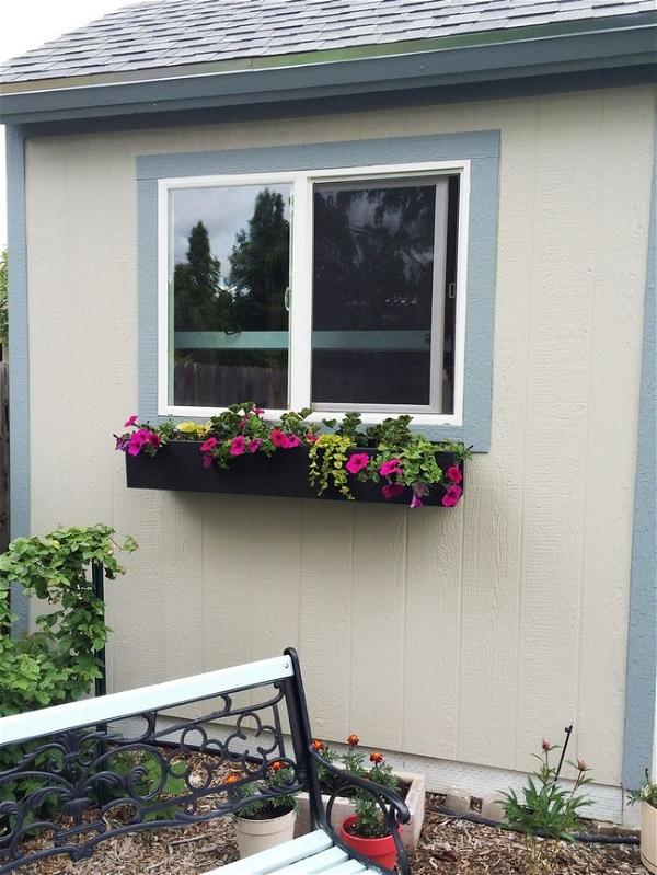 Step By Step Guide To Planting A Window Box