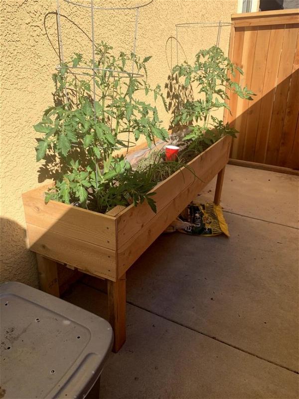 Wooden Raised Bed