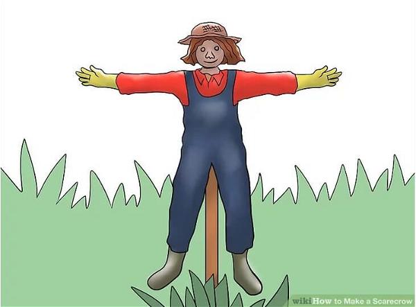 3 Ways To Make A Scarecrow