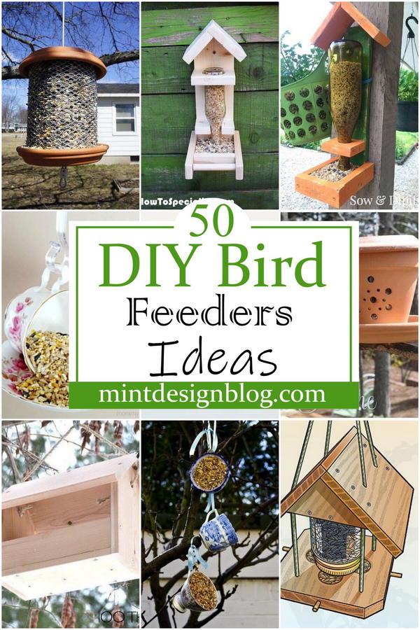 DIY Bird Feeders 2