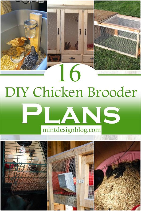 DIY Chicken Brooder Plans 1