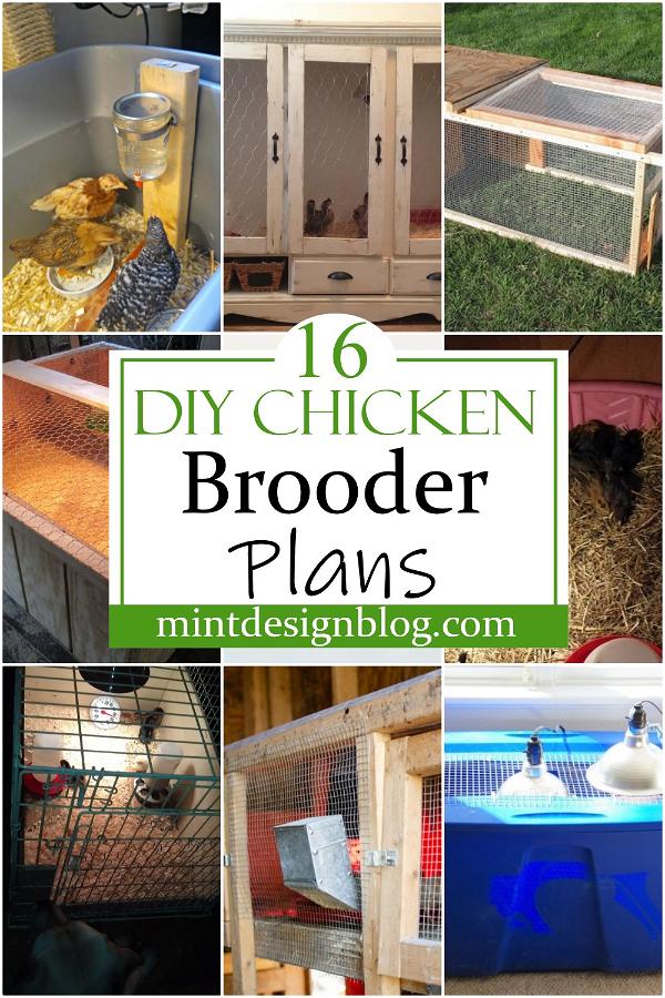 DIY Chicken Brooder Plans 2