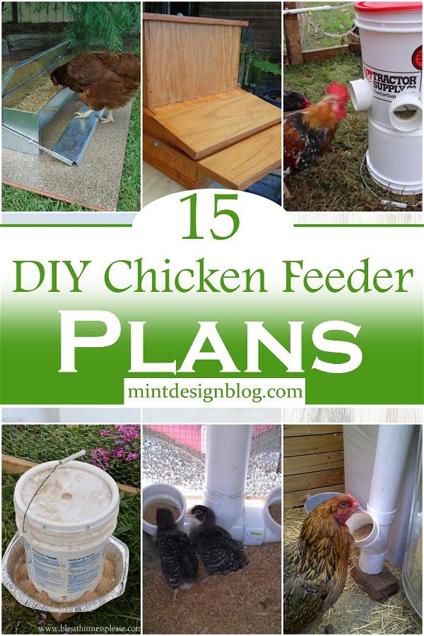 DIY Chicken Feeder Plans 1