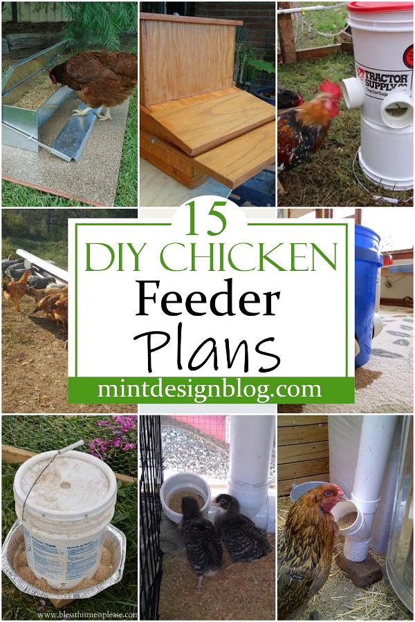DIY Chicken Feeder Plans 2