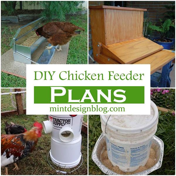 DIY Chicken Feeder Plans