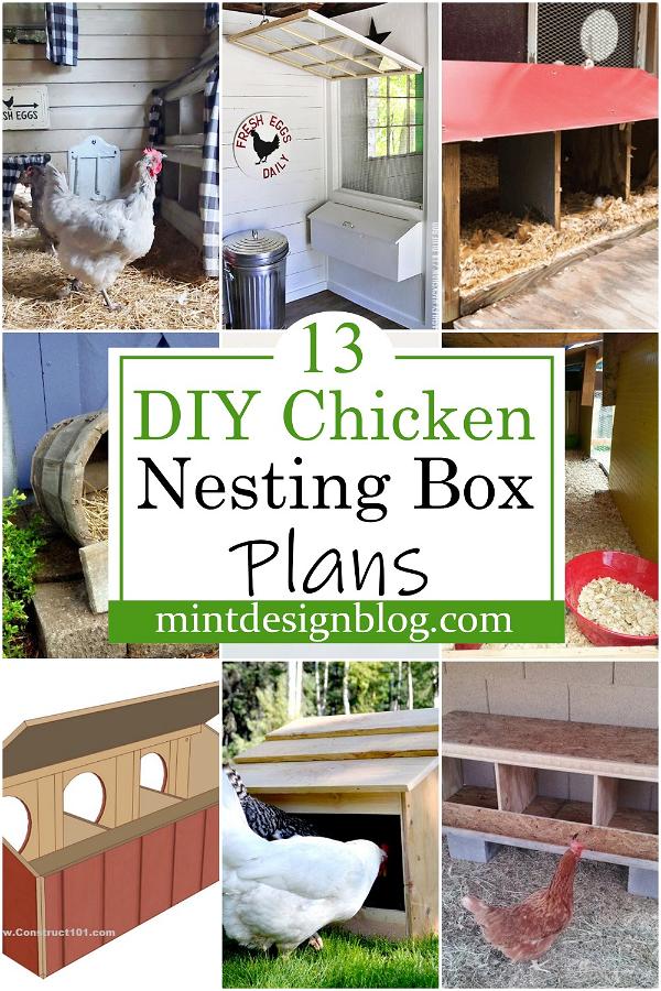 DIY Chicken Nesting Box Plans 2