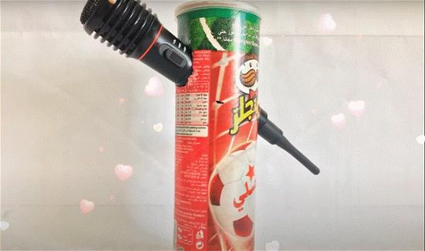 DIY Mic Stand With Pringles