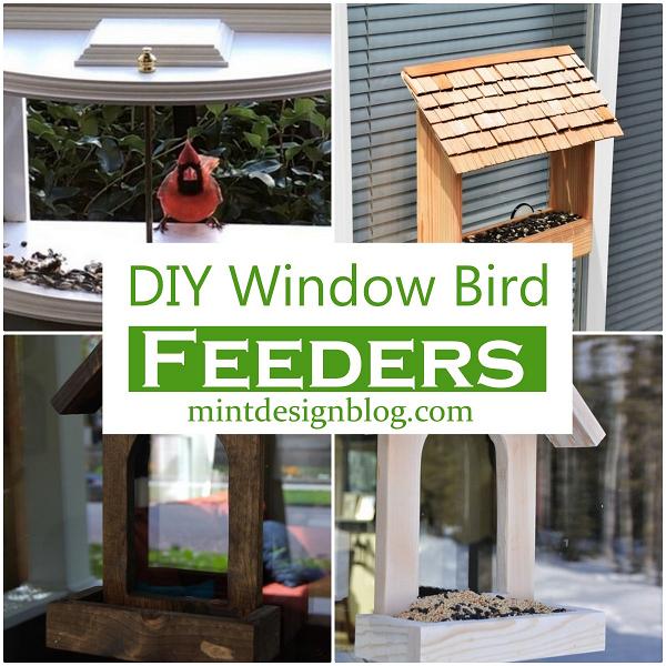 DIY Window Bird Feeders