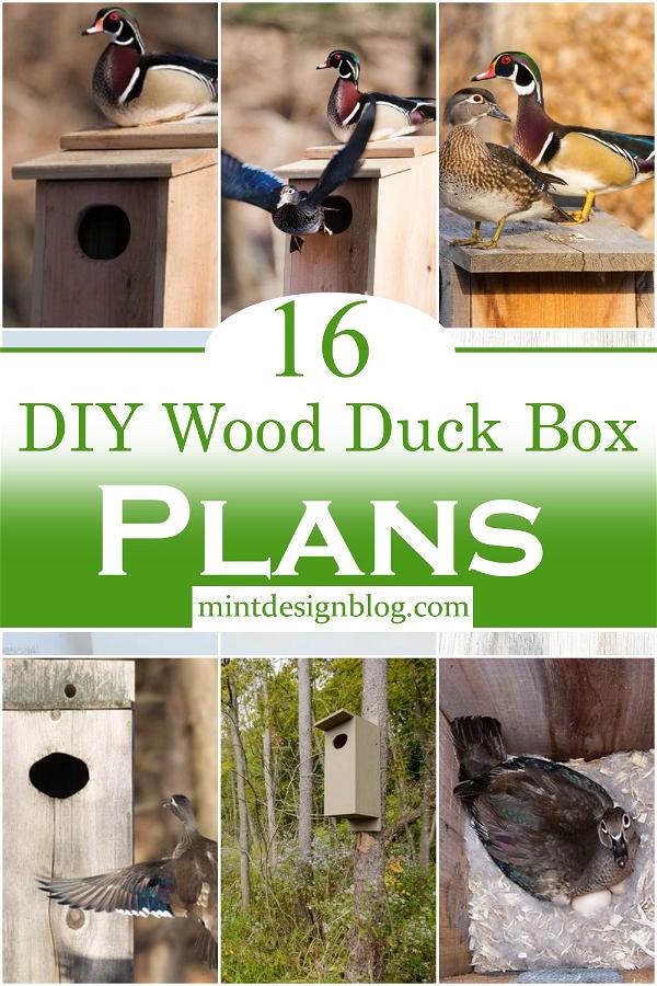 DIY Wood Duck Box Plans 1