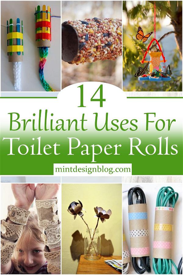 Brilliant Uses For Toilet Paper Rolls 2