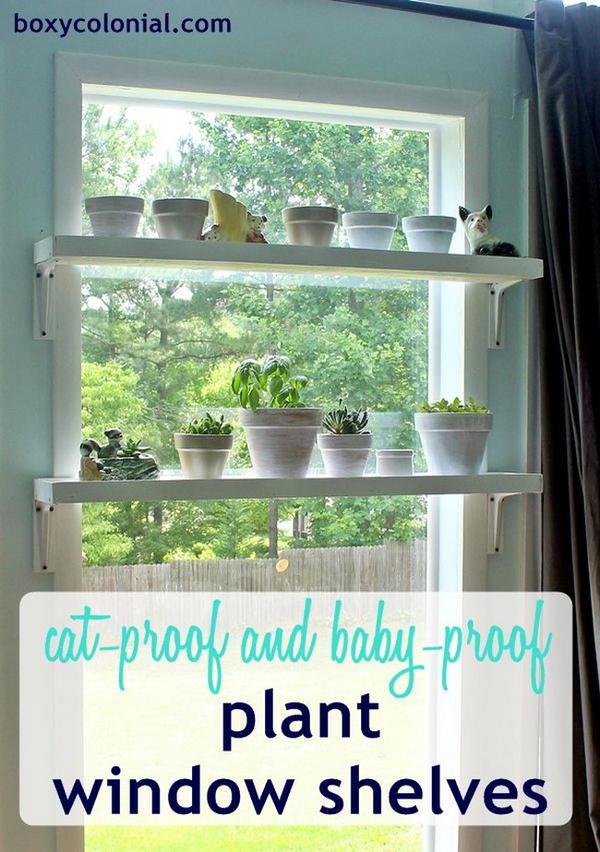 Cat Proof Window Plant Shelf