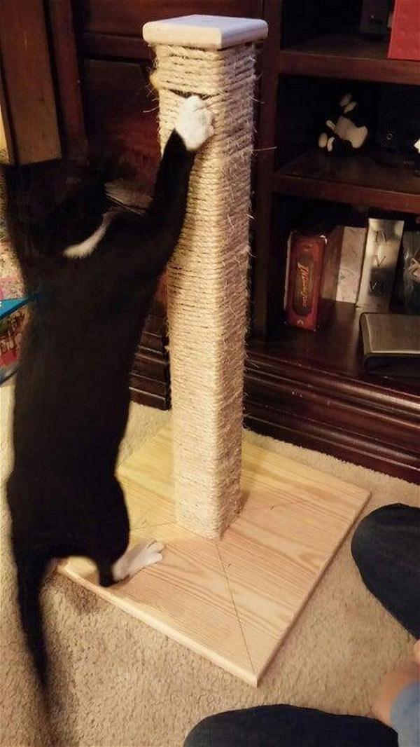 Cat Scratching Post DIY