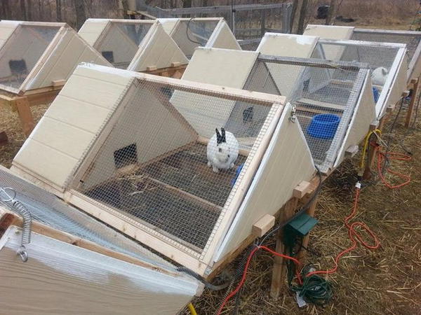 DIY A-Frame Rabbit Hutch