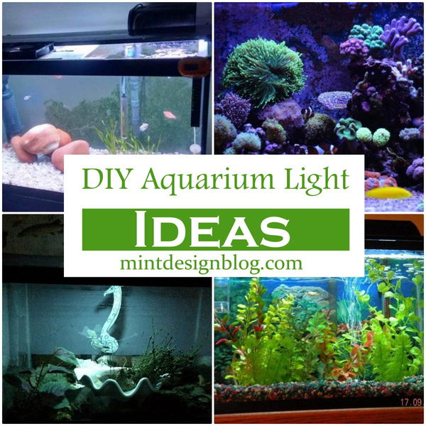 DIY Aquarium Light Ideas