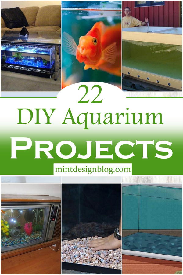 DIY Aquarium Projects 1