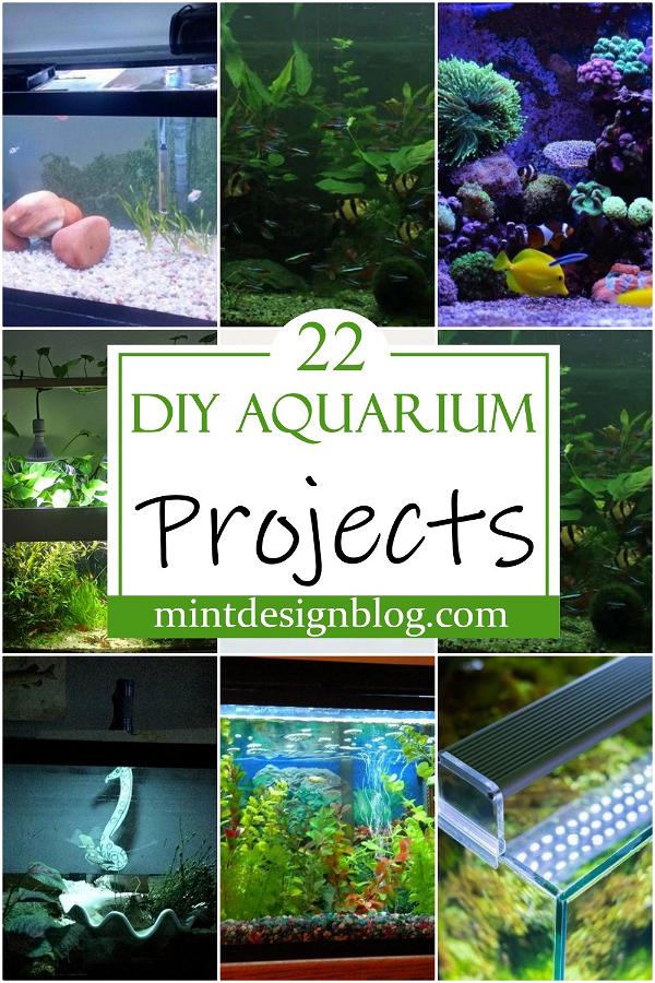 DIY Aquarium Projects 2