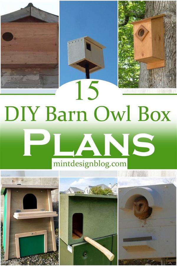 15 Free DIY Barn Owl Box Plans For Your Garden - Mint Design Blog