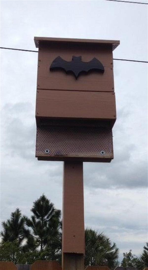 DIY Bat House