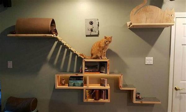 DIY Cat Adventure And Escape Wall