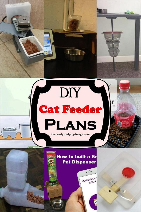 DIY Cat Feeder Plans