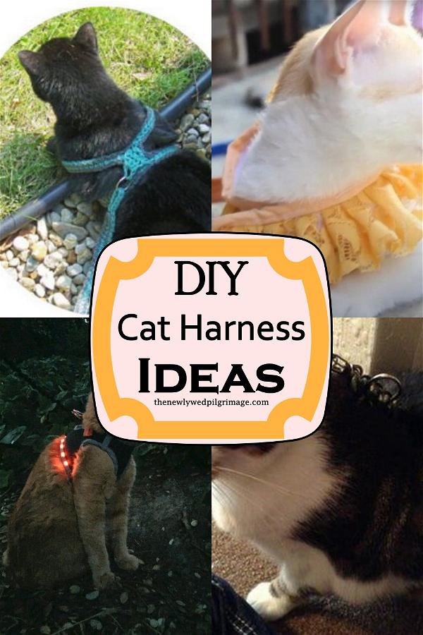 DIY Cat Harness Ideas
