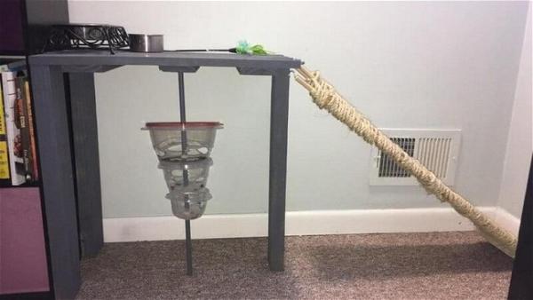 DIY Cat Puzzle Feeder