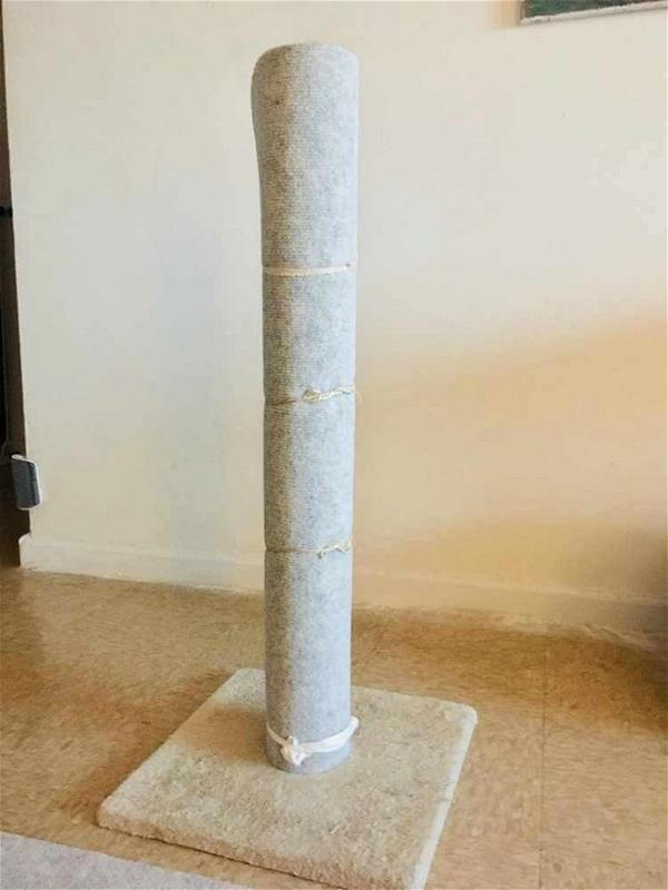 DIY Cat Scratcher With Carpet