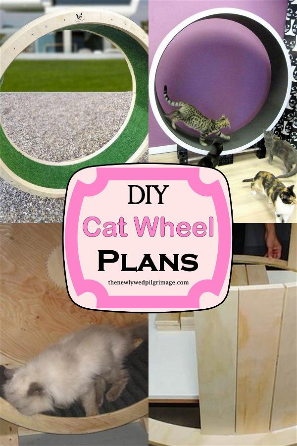 DIY Cat Wheel Plans
