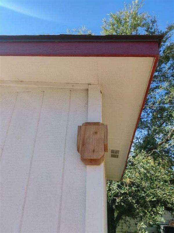 Cedar Fence Bat box 