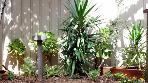 DIY Concrete Bird Bath