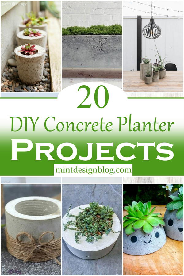 DIY Concrete Planter Projects 1