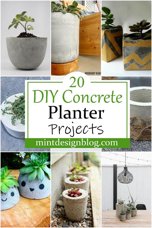 DIY Concrete Planter Projects 2