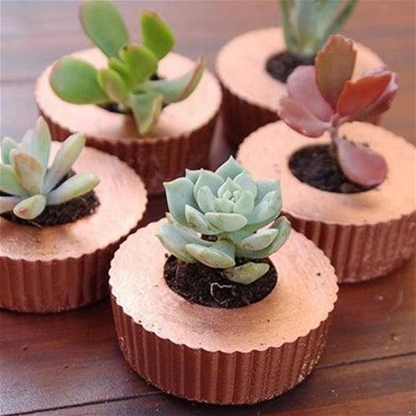DIY Cupcake Concrete Planters