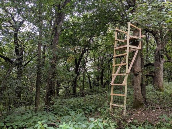 DIY Deer Blind Wooden Ladder Stand