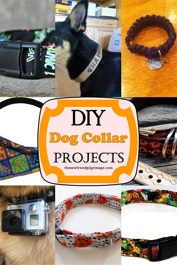 DIY Dog Collar Projects